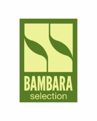 Design sans titre (24)