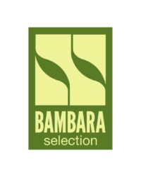 Design sans titre (24)